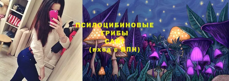 hydra ссылка  Качканар  Галлюциногенные грибы MAGIC MUSHROOMS 